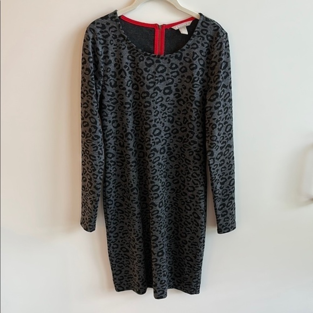 Banana Republic Leopard Print Dress